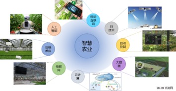 2015年農(nóng)業(yè)B2B互聯(lián)網(wǎng)行業(yè)報告 網(wǎng)絡(luò)技術(shù)開發(fā)趨勢與影響分析